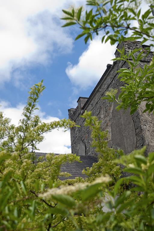 Finnstown Castle Hotel Lucan Exterior foto